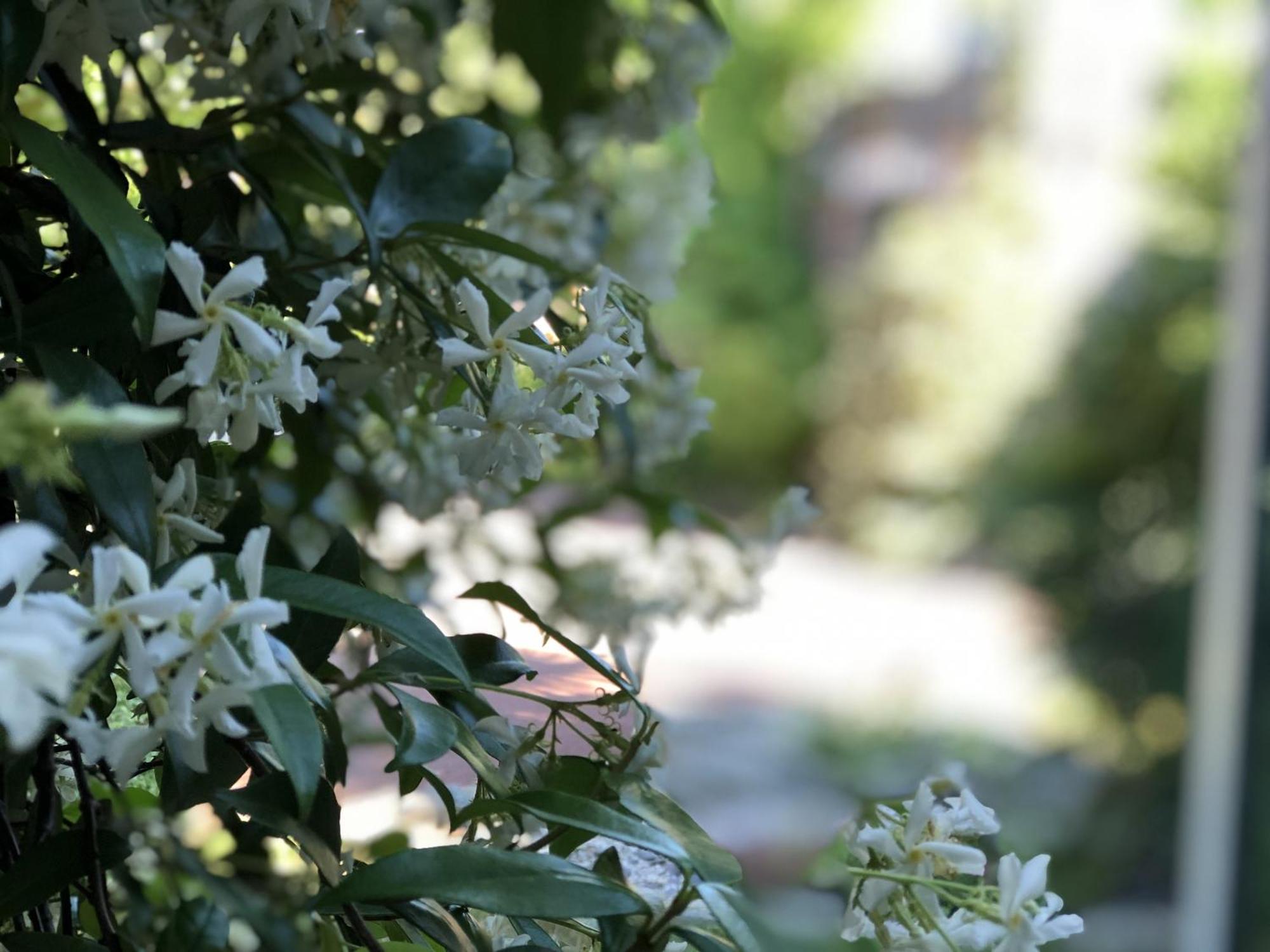 Aux Herbes Hautes Fleurbaix Exterior photo
